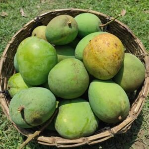 গোবিন্দভোগ(১০ কেজি)